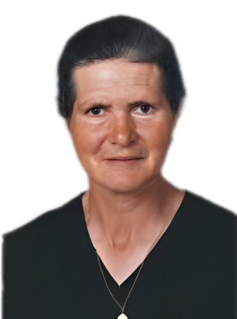 Emilia arcozelo melhorada